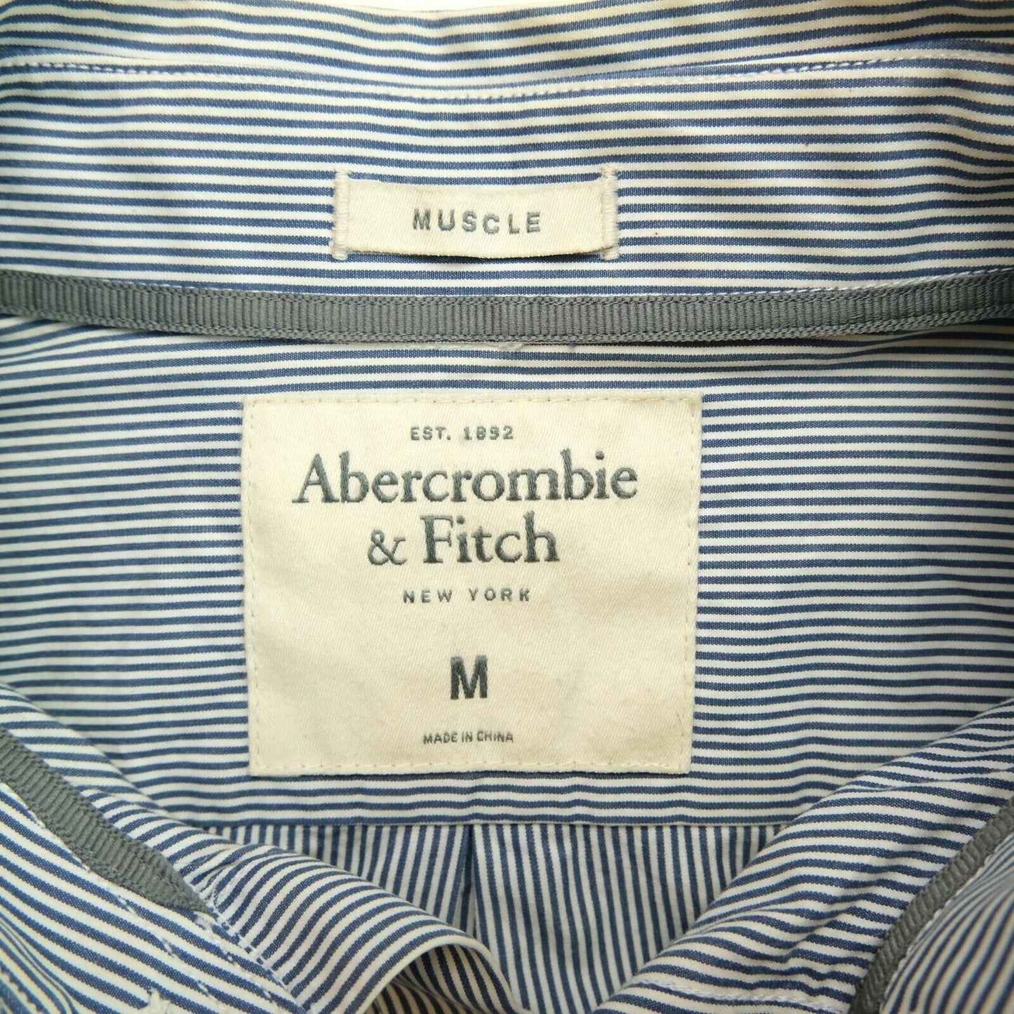 Abercrombie & Fitch Blue Striped Muscle Shirt Size M